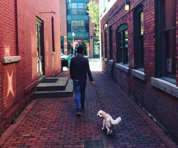 Man walking a white dog down an alley way in Armory Square, Syracuse, NY