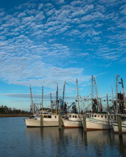 Florida Rivers Apalachicola River