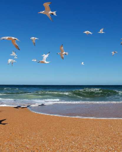 Flagler Beach