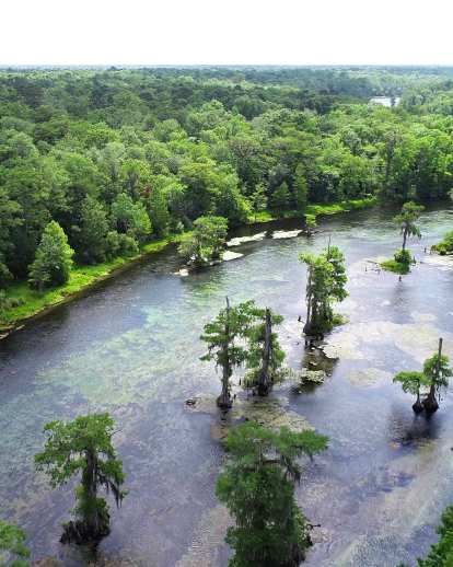 Wakulla Springs near Tallahassee in northwest Florida water temperature 72 degrees year-round boat tour and historic inn