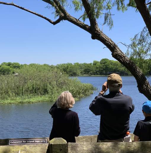 Family bird watching in Beaumont, TX