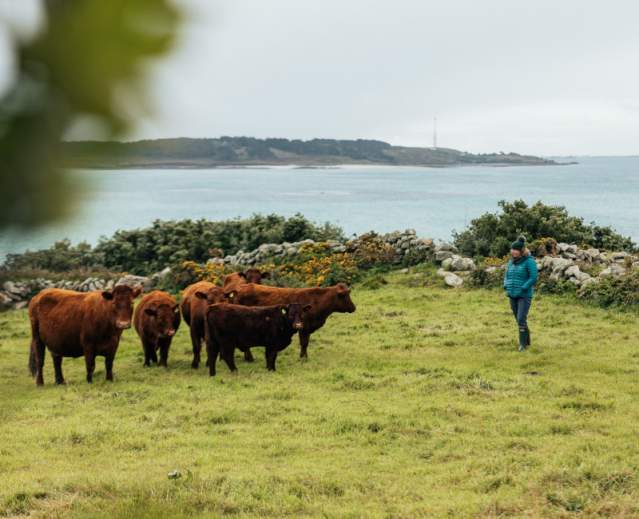 One Islander's Path to a Sustainable Living