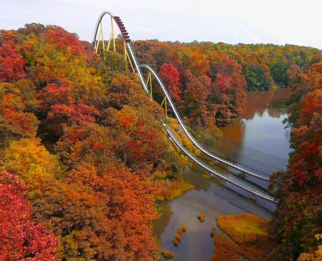 Fall Happenings - Trees with Roller Coaster