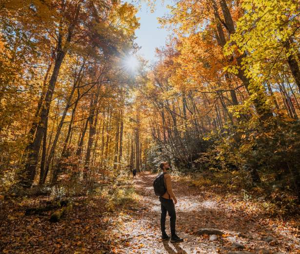 hiking in fall great smoky mountains