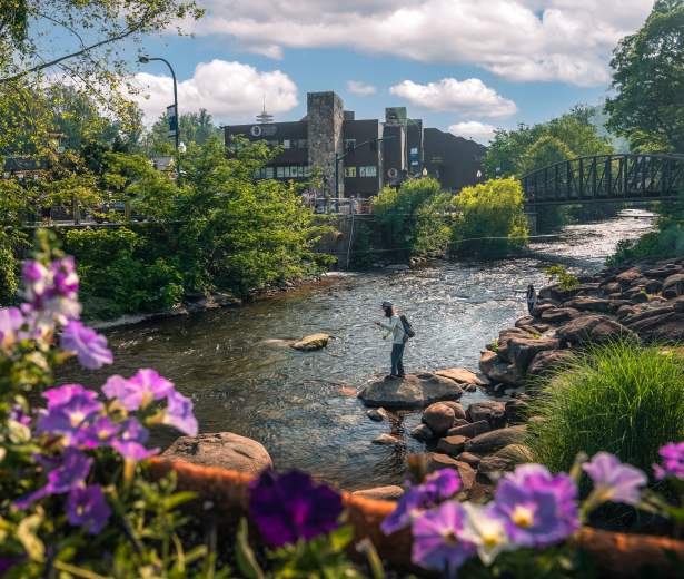 Couple over river rocks fishing