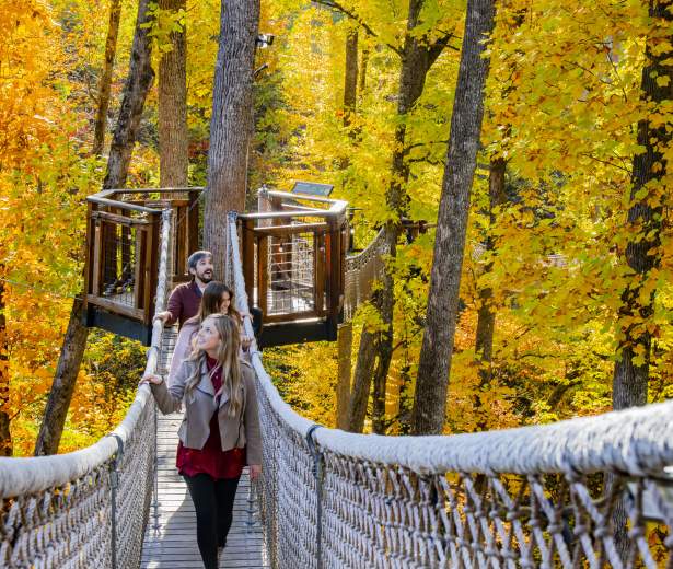 Fall Memories Top Fall Memories Top