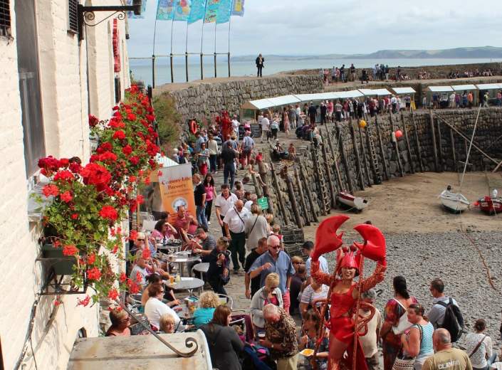 North devon Whats On
