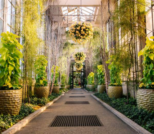 Longwood Gardens Conservatory
