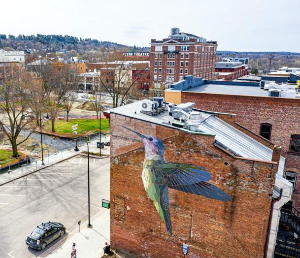 Hummingbird Mural at City Hall Park