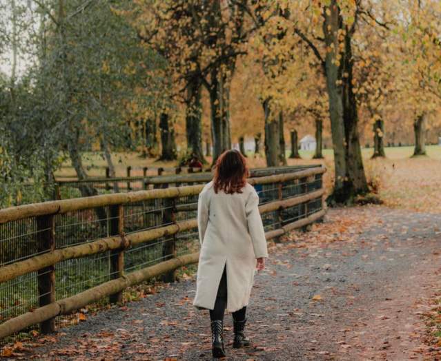 Stormont Autumn Walks