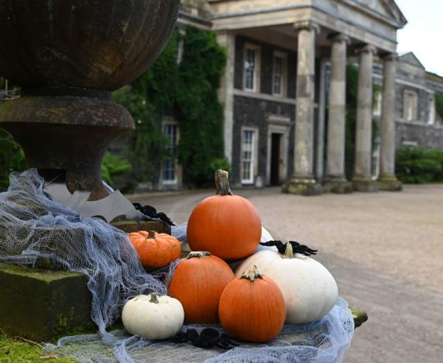 Halloween Mount Stewart