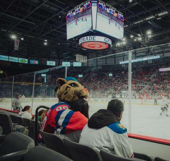 Moncton Wildcats
