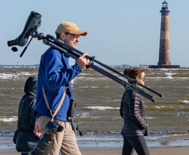 Bird walks at Lighthouse Inlet Preserve.
