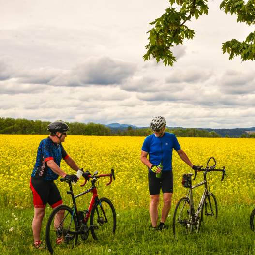 Three cyclists stand beside their road bikes in front of a field of bright yellow flowers under a tree at Camas Country Mill.