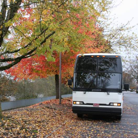 Fall Foliage Bus Tour