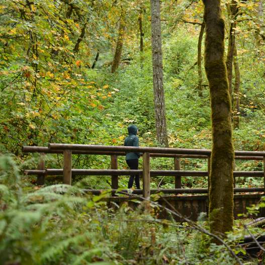 Hiking on the Ridgeline Trail by Melanie Griffin