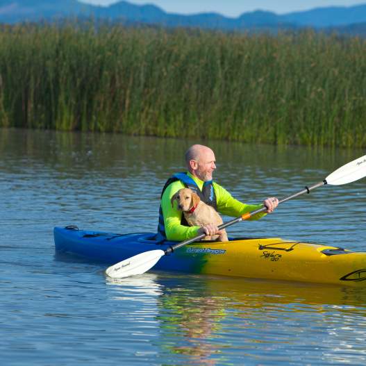 A man kayaks on Fern Ridge with his yellow lab puppy on his lap