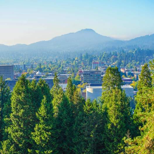 A viewpoint overlooking the city of Eugene shows trees in the foreground, then buildings and streets with a mountain butte in the background.