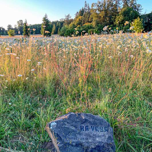 Kalapuya Talking Stones