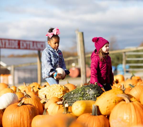Roba Family Farms