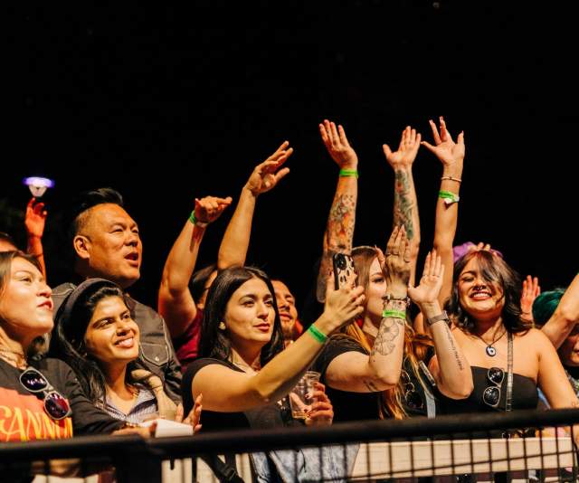 Concert goers dancing and singing with their arms in the air