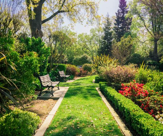 McKinley Park
