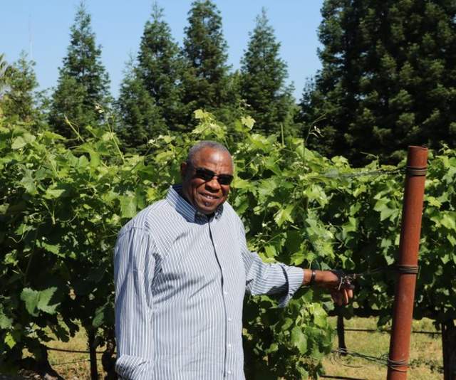 Baseball legend Dusty Baker stands proudly in a vineyard wearing a pinstriped light blue and white collared shirt