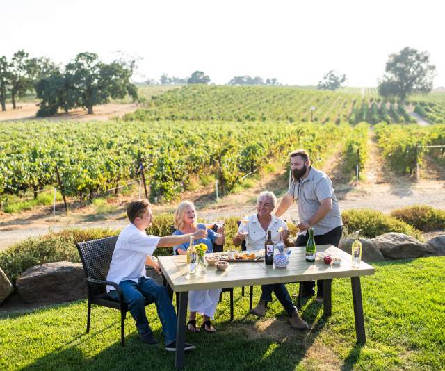 Four friends toast wine glasses at a picnic table against a lush green backdrop of grape vines