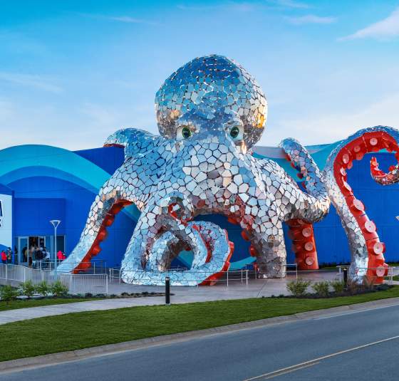 Aquarium Attraction