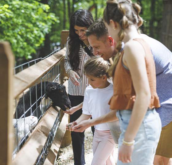 Shepherd of the Hills Family Spring Summer