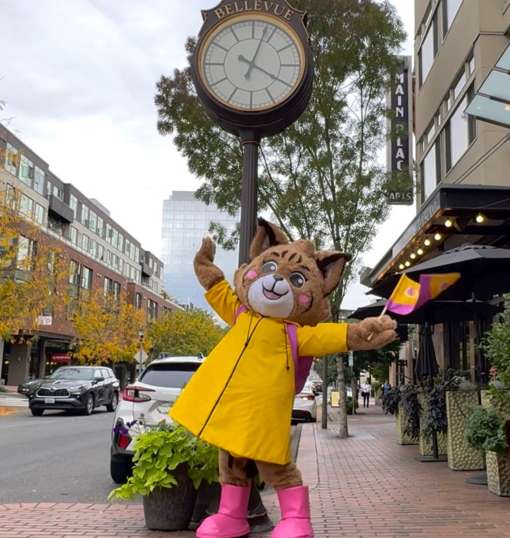 Belle The Bobcat