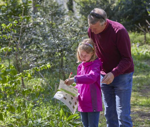 a man and child looking at a map by trees in countryside