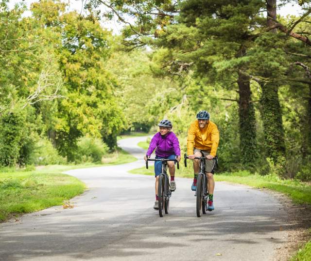 Two people cycling through a forest on a path