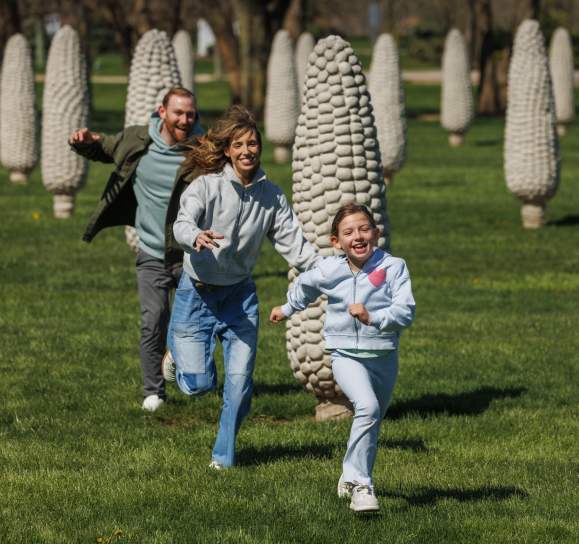 Don't Plan Just Go Corn