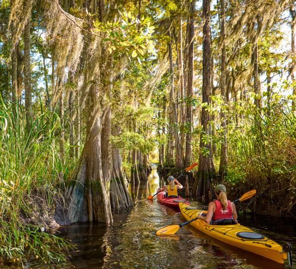 Explore the undeveloped Altamaha River on a guided kayak tour in Brunswick, GA