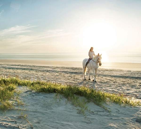 horseback-beach.jpg