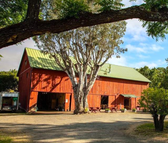 Farm Fun in Sonoma Valley