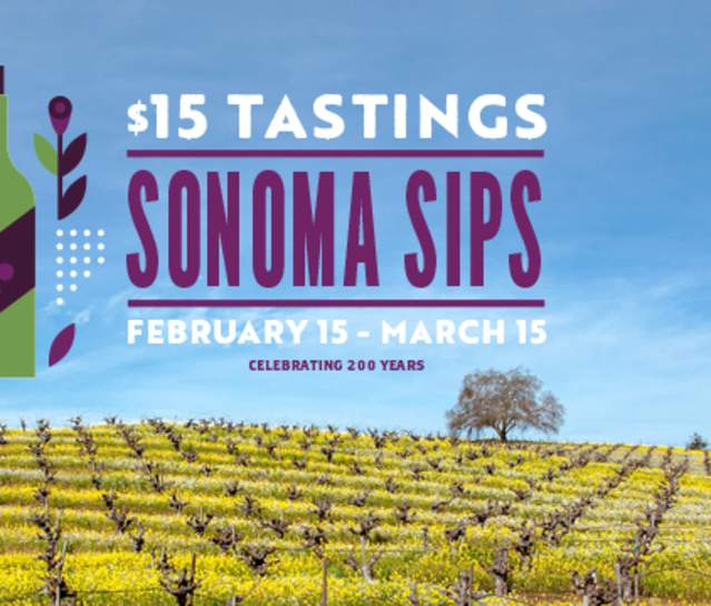 The beauty of the mustard flowers in a Sonoma vineyard with "Sonoma Sips" logo in the sky above it