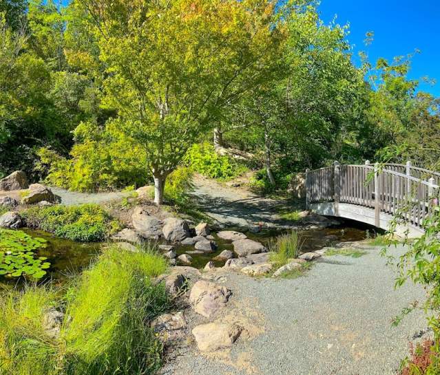 Three Days in Sonoma Valley: Spring Edition