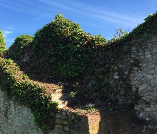 Ruins of a castle