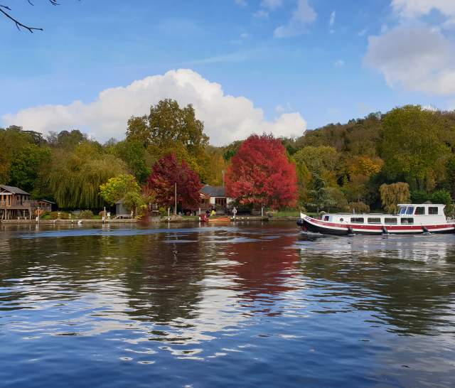 Autumn colours and boat on the Thames at Henley