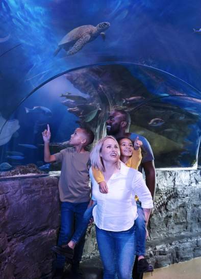 Family walking through tunnel of aqurium with children pointing at animals