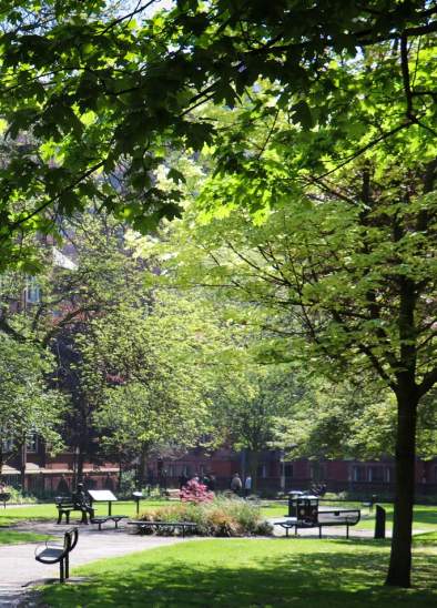 Image of a park