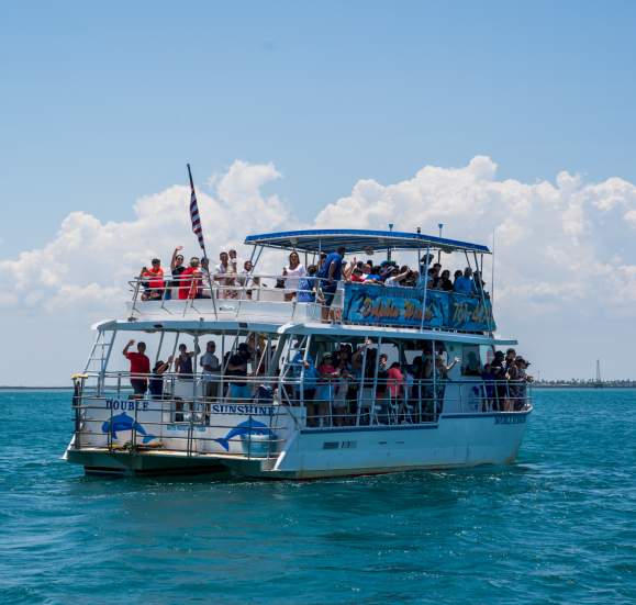 The Original Dolphin Cruise on the Bay