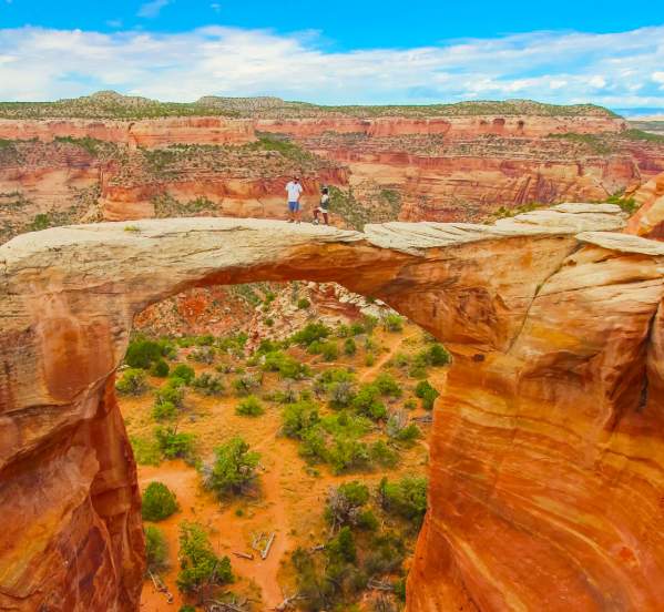 Rattlesnake Canyon Arches