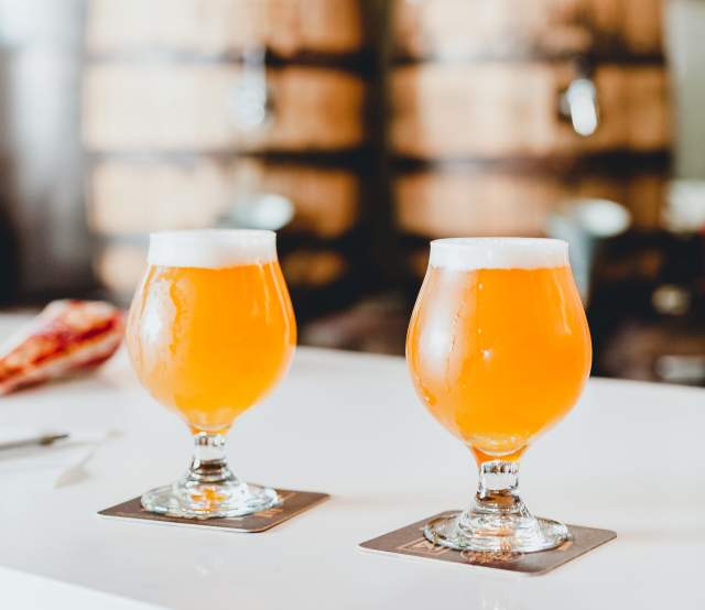 Beer Glasses on Table