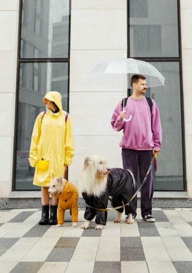 2 people in raincots with an umbrella and 2 dogs stood outside a building