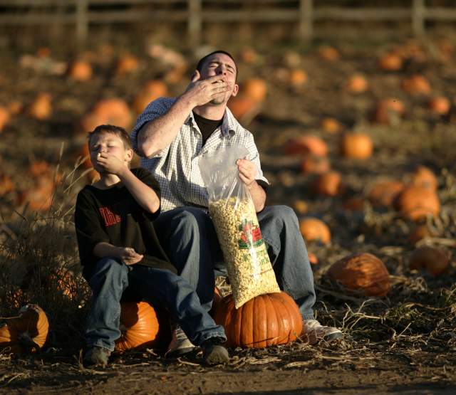 A man and young kid eating kettle corn at a pumpkin patch