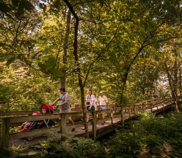 Fontenelle Forest