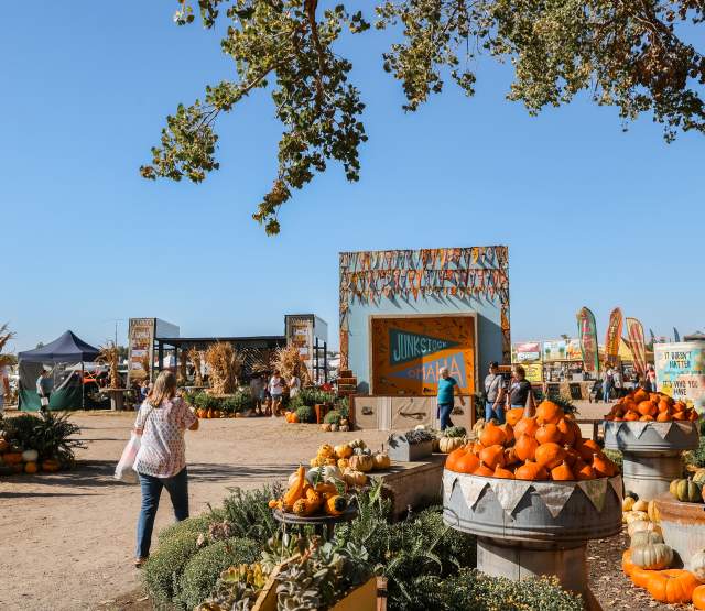 People walking at Junkstock in the fall.